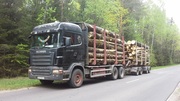 Аренда лесовоза  +375296654972